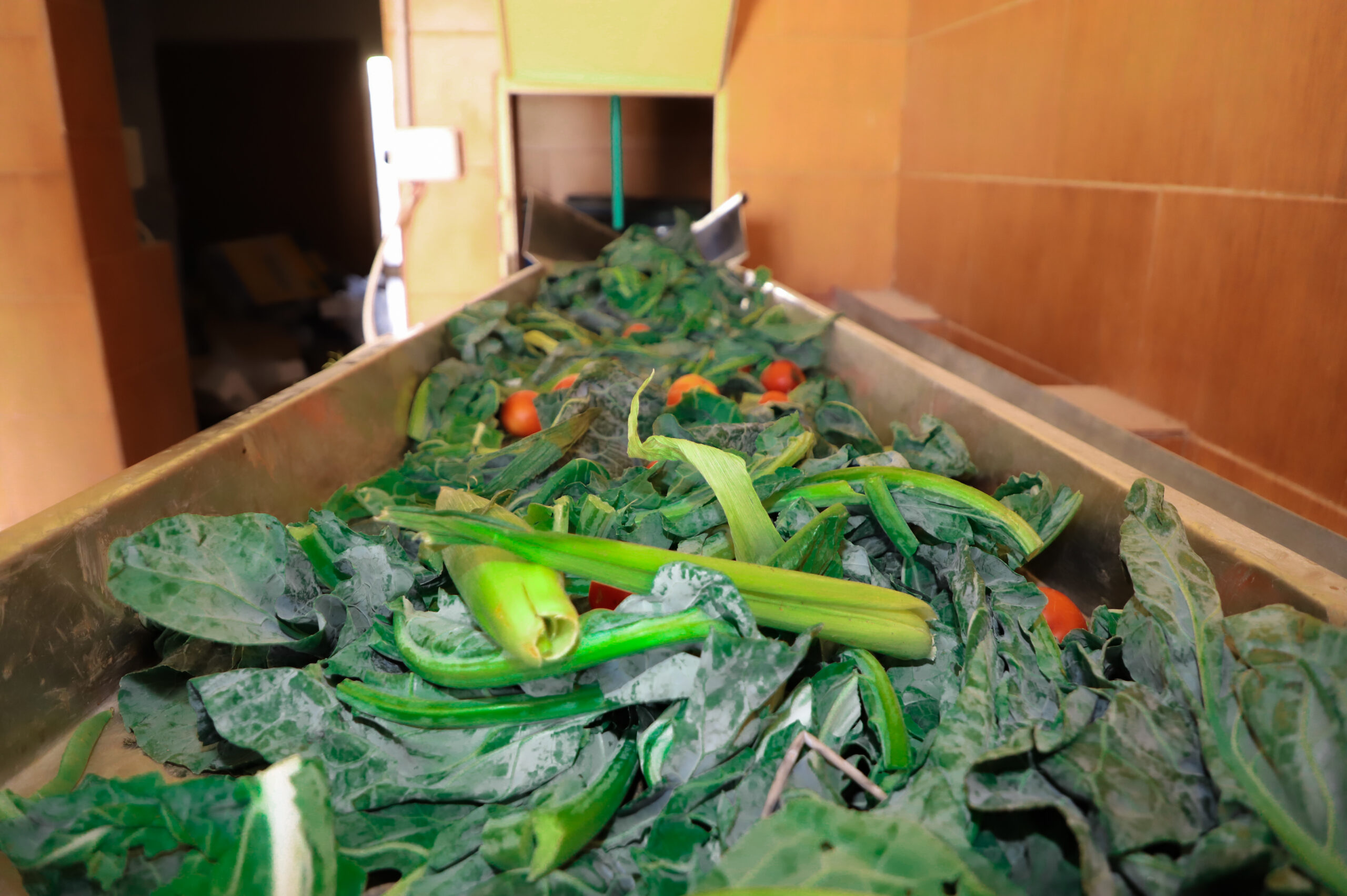 Recovered food leftovers at Garbaliser's local processing site