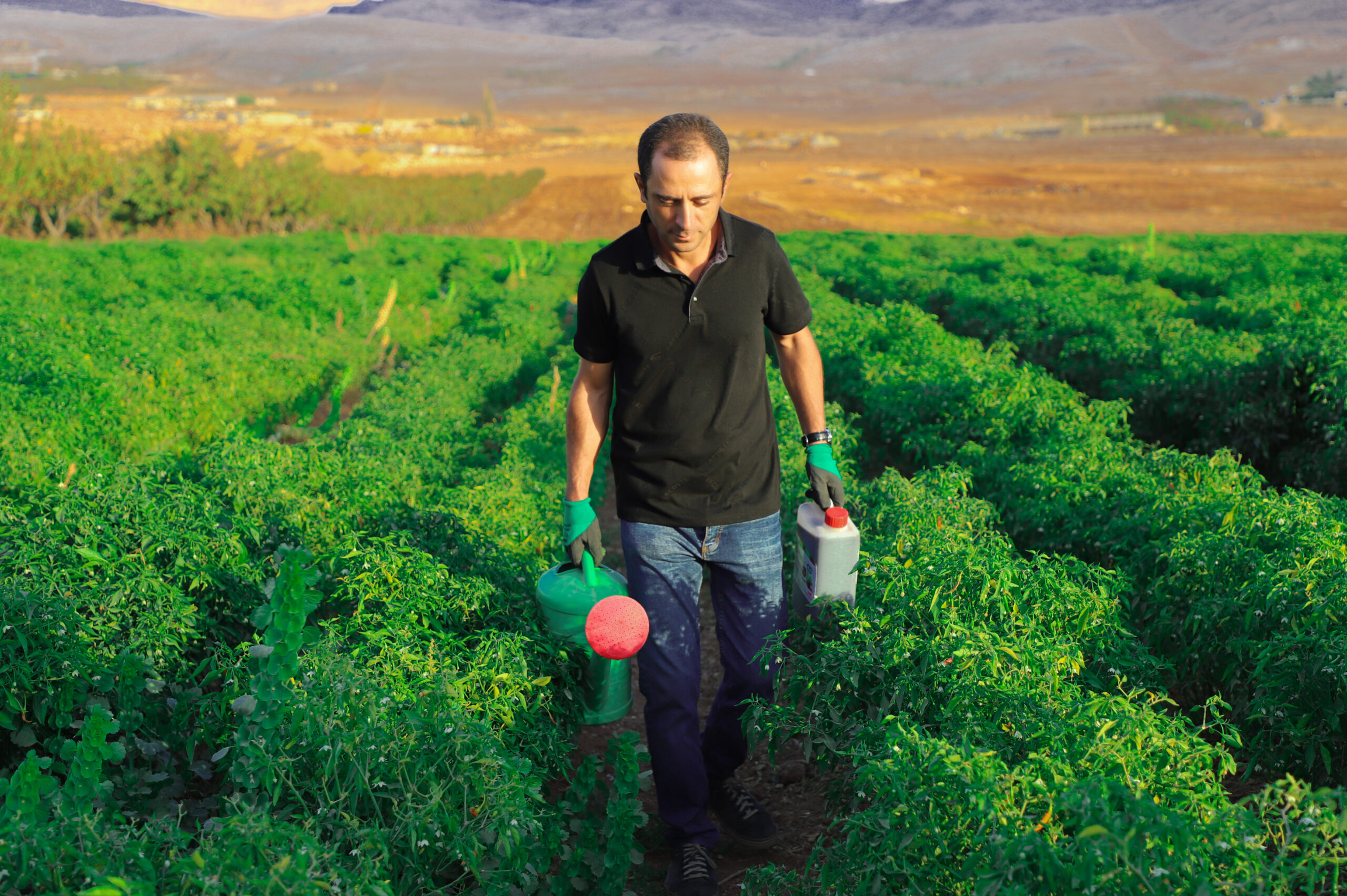 Farmer carrying SAMADI in his field
